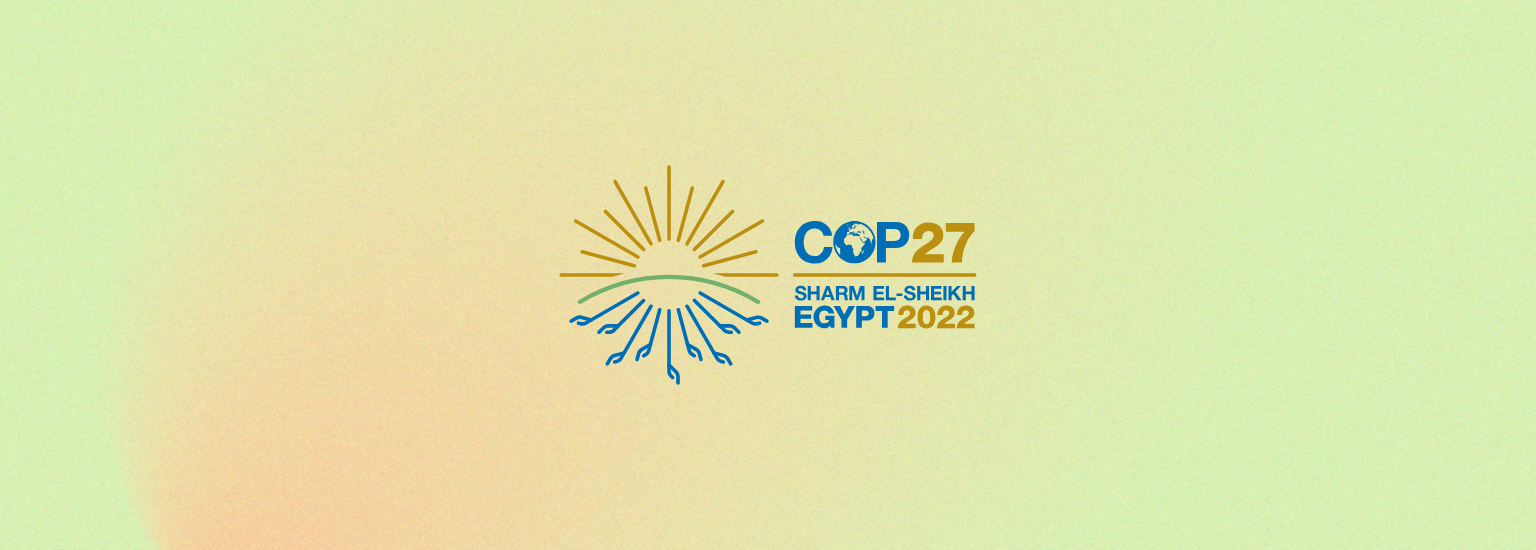 Feminists Show Up at COP27
